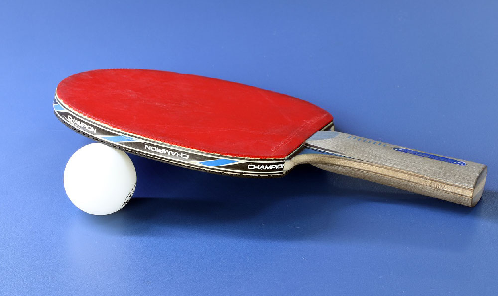 2017乒乓球世锦赛男队